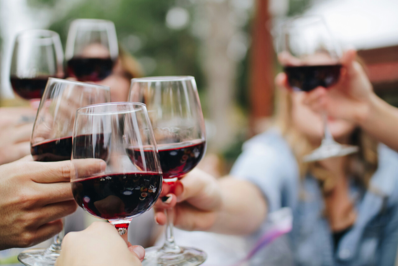 Taste the best wines in Šibenik region