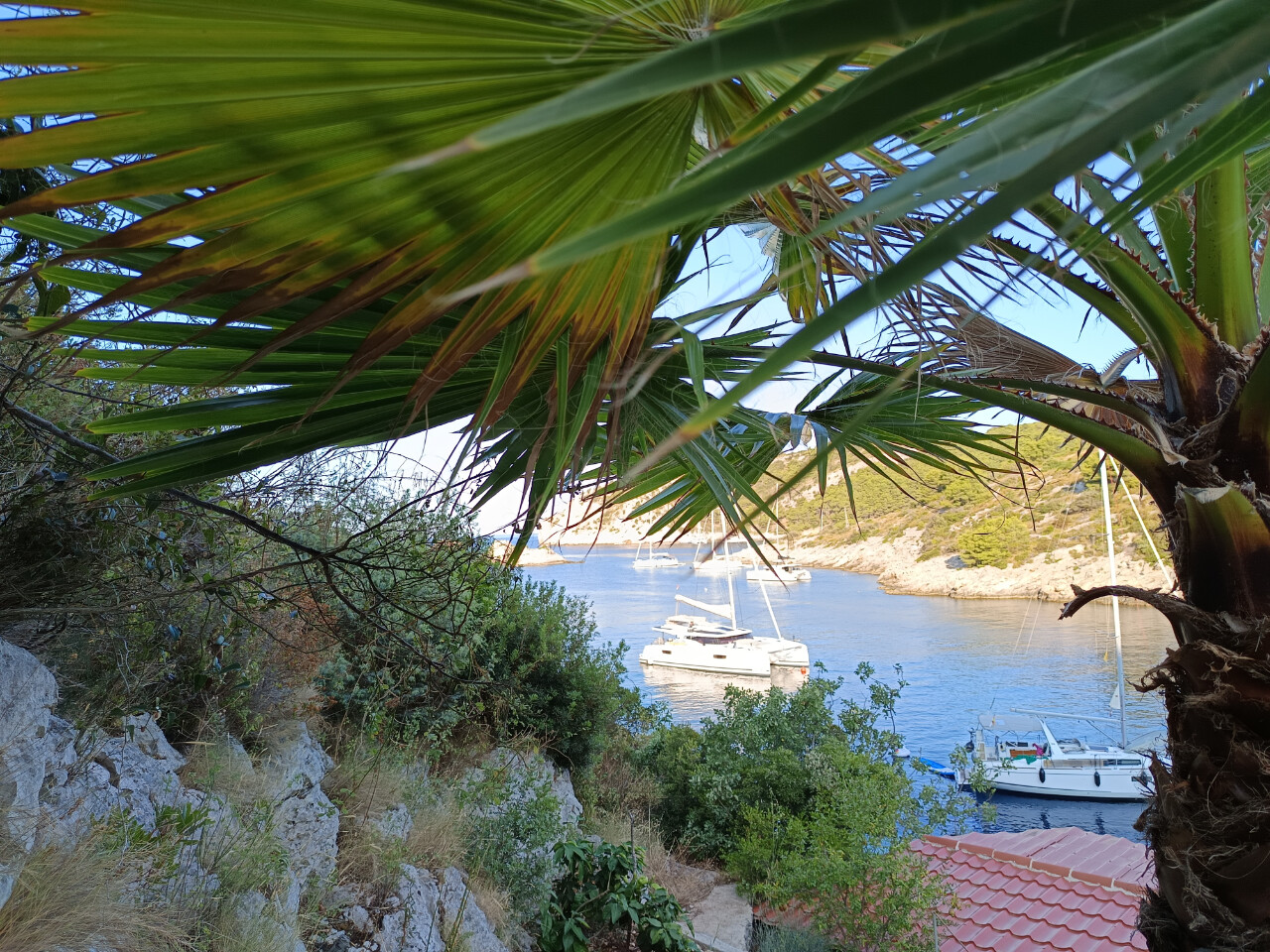 Somewhere on Šipan island