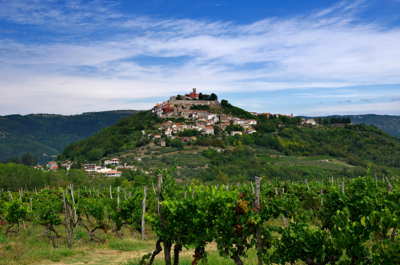 Motovun in Istria region