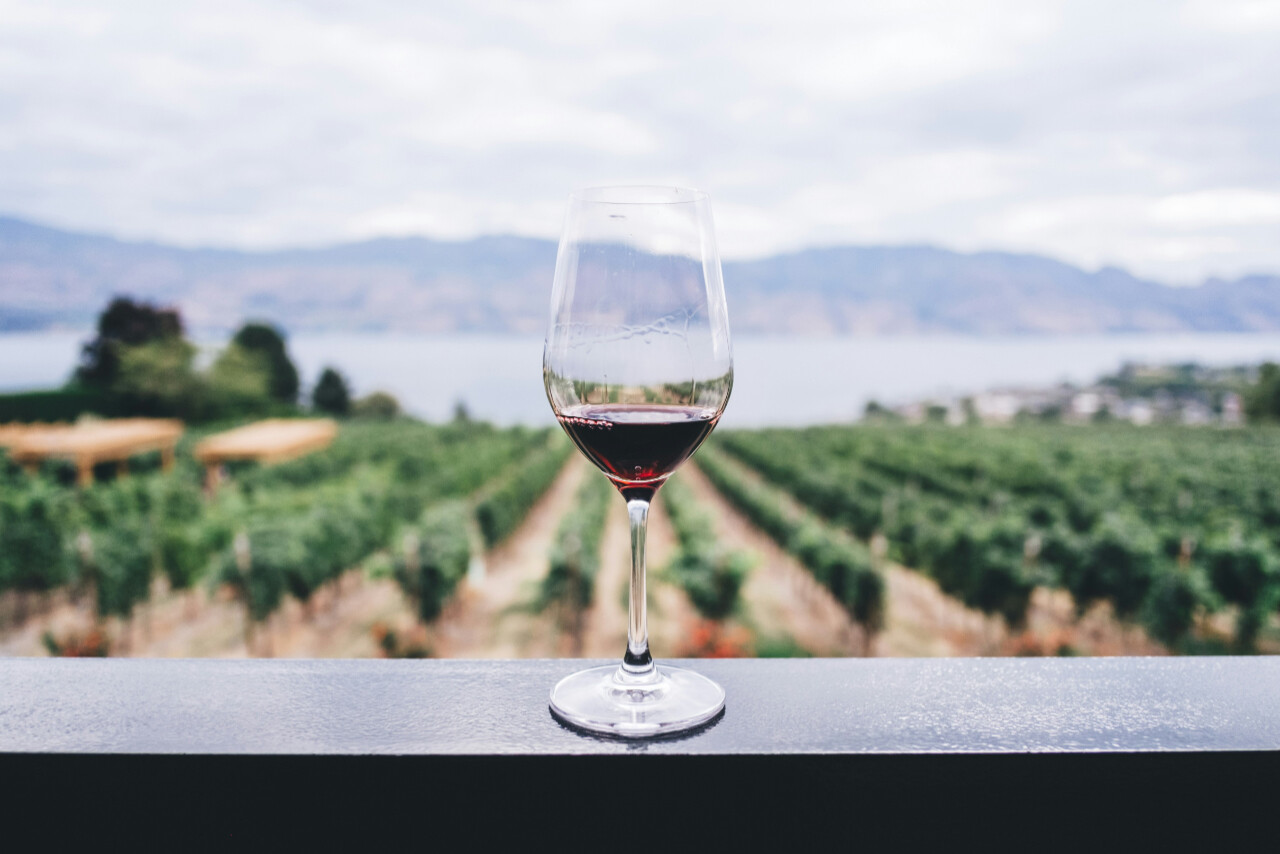 Wine in Istria