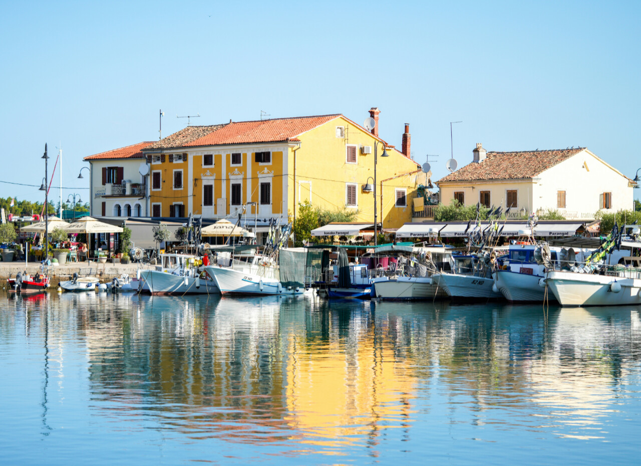 Marina in Novigrad city
